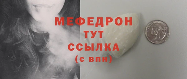 индика Костерёво