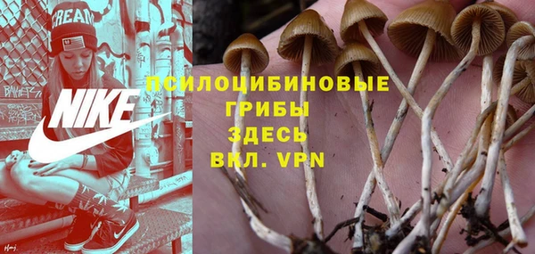 прущие крисы Краснослободск