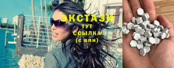 индика Костерёво