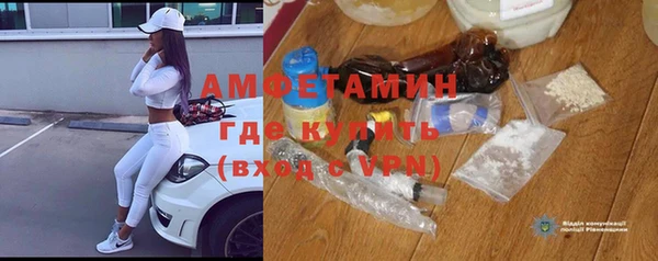 индика Костерёво