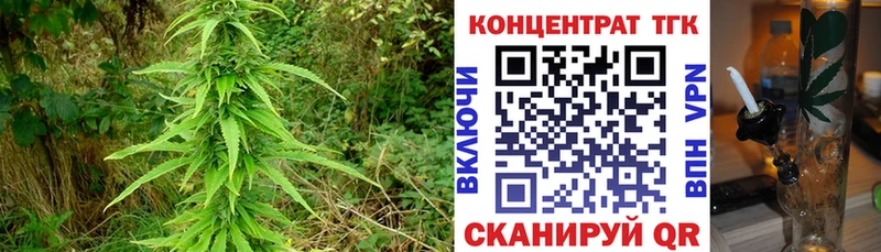 blacksprut ТОР  Пушкино  ТГК THC oil  хочу наркоту 