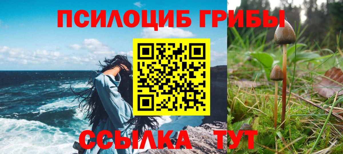 Пушкино  где найти наркотики  Вход с VPN  Псилоцибиновые грибы мицелий 