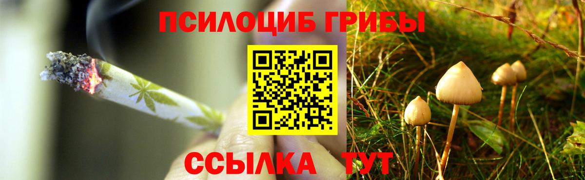 Как найти наркотики?  Меф МЯУ МЯУ кристаллы  Бошки Шишки  ГАШИШ  Вход с VPN  Пушкино  ГАШ  Кокаин  NBOMe 