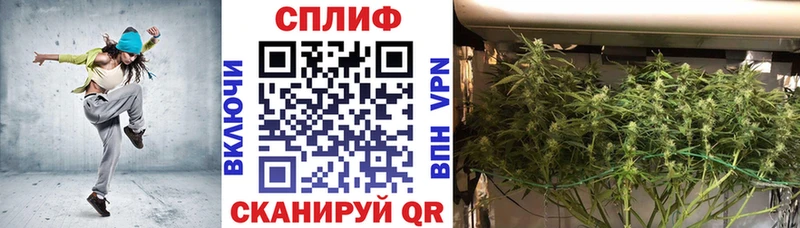 Канабис ГИДРОПОН  OMG как войти  Пушкино 